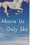 Above Us Only Sky